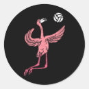 Search for volleyball player stickers Serve