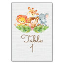 Search for animal table cards Jungle