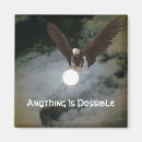 Recherche de aigles magnets Aigle chauve