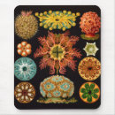 Search for at sea mousepads For him