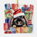 Search for lop rabbit ornaments Bunny