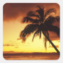 Search for paradise island stickers Colourful