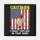 Search for exploding magnets Fireworks