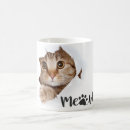 Search for funnycat mugs Cute