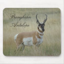 Recherche de trophée tapis souris Pour tous