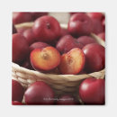 Recherche de nourriture et boisson magnets Fraîcheur