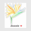 Search for water island stickers Summer