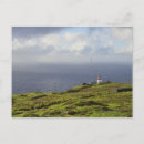Search for madeira postcards Nature