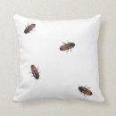 Recherche de petit insecte coussins Insectes