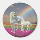 Search for unicorn magnets Rainbow