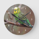 Search for budgie art Parrot