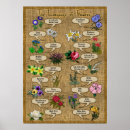Recherche de signification fleurs posters Botanique