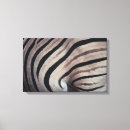 Recherche de peau de zèbre art Faune