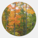 Search for autumn trees stickers Forest