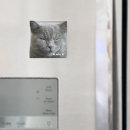 Search for kitty face magnets Cat