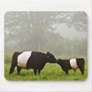 Recherche de vache tapis souris Amour