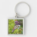 Search for butterfly pics keychains Floral