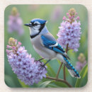 Search for blue jay barware Nature