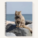Search for cat notebooks Cute animals