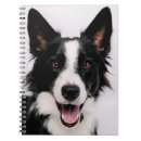 Search for collie notebooks Funny
