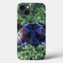 Search for kenya ipad cases Adam jones