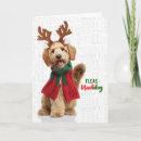 Search for goldendoodle christmas cards Dog lovers