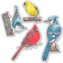 Search for backyard bird stickers Birding