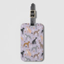 Search for italian travel accessories Greyhound