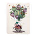 Search for dragonfly magnets Contemporary