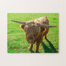 Search for highland cattle puzzles Animal
