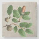 Search for acorn coasters Oak leaves