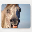 Search for laughing mousepads Horse