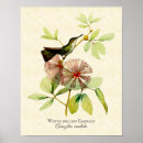 Search for bellis art Floral