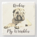 Search for cute coasters Pets