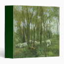 Search for flock binders Sheep