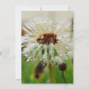 Search for seed pods cards Flower