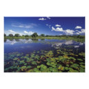 Recherche de pantanal posters Amérique du sud