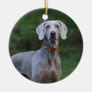 Search for weimaraner ornaments Animal