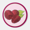 Search for raspberry magnets Illustration
