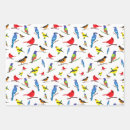 Search for oriole gift wrap Nature