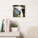 Recherche de moutons horloges Fermes