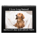 Search for long hair dachshund office supplies Doxie