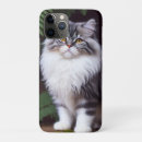 Search for white and grey cat iphone cases Persian