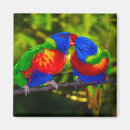 Recherche de romance magnets Coloré