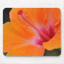 Search for hawaii mousepads Hibiscus