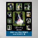 Recherche de patte de chien posters Pour animaux