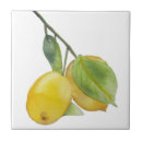 Search for lemon yellow tiles Watercolor