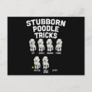 Recherche de dresseur cartes postales Chien