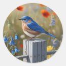 Recherche de oiseaux bleus autocollants Toute personne