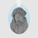 Search for newfoundland dog ornaments Black